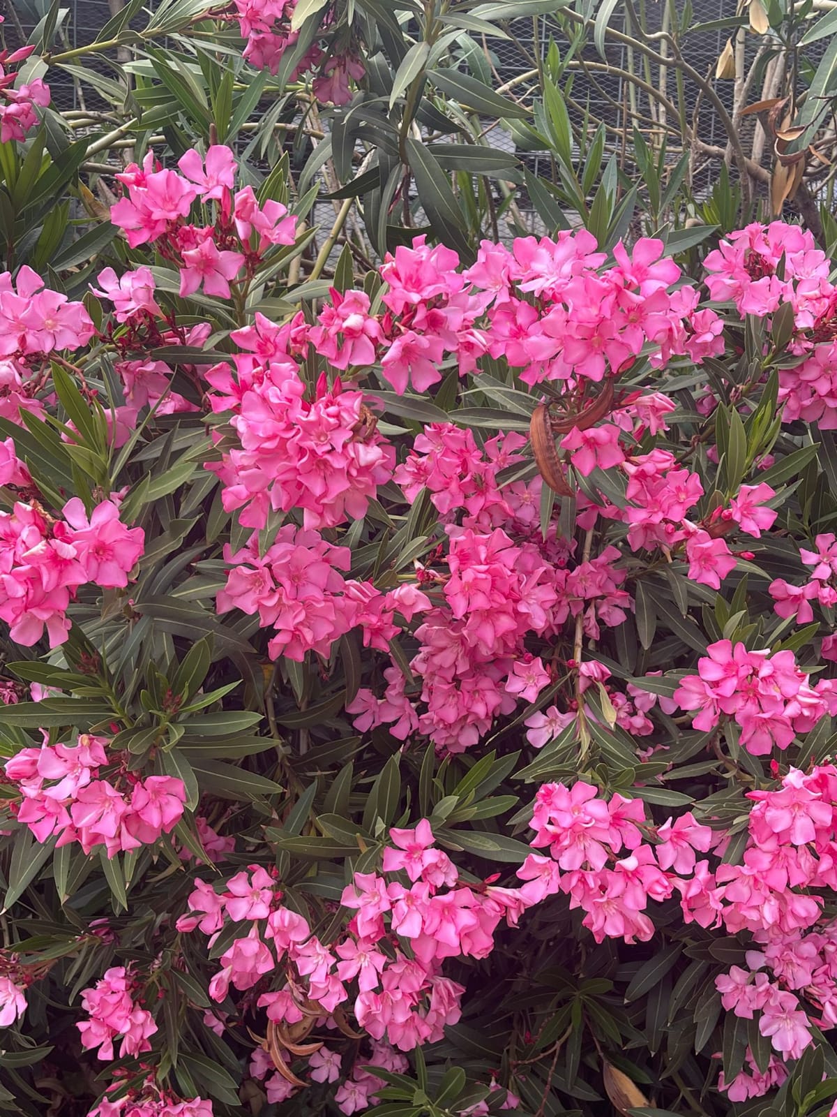 WhatsApp Image 2022-06-26 at 3.29.45 PM.jpeg